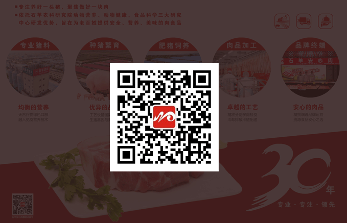 自貢燈會、彩燈彩船制作、會展、仿真恐龍-自貢燈貿