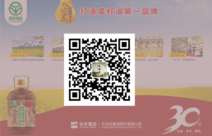 自貢燈會、彩燈彩船制作、會展、仿真恐龍-自貢燈貿